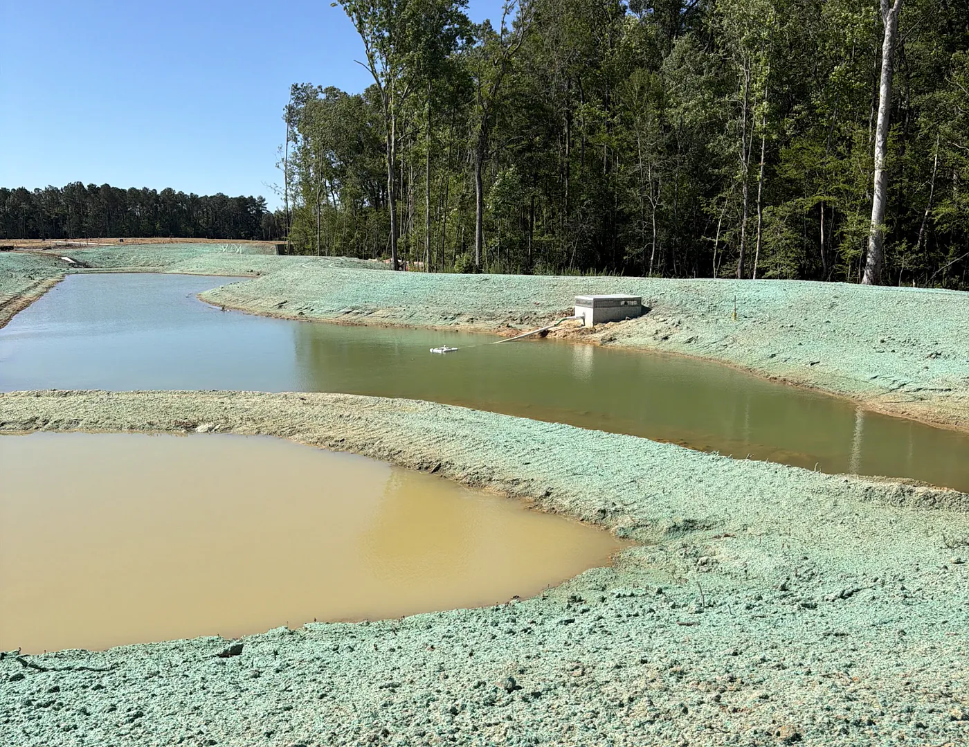 Hydroseeded retention pond banks at the waterline