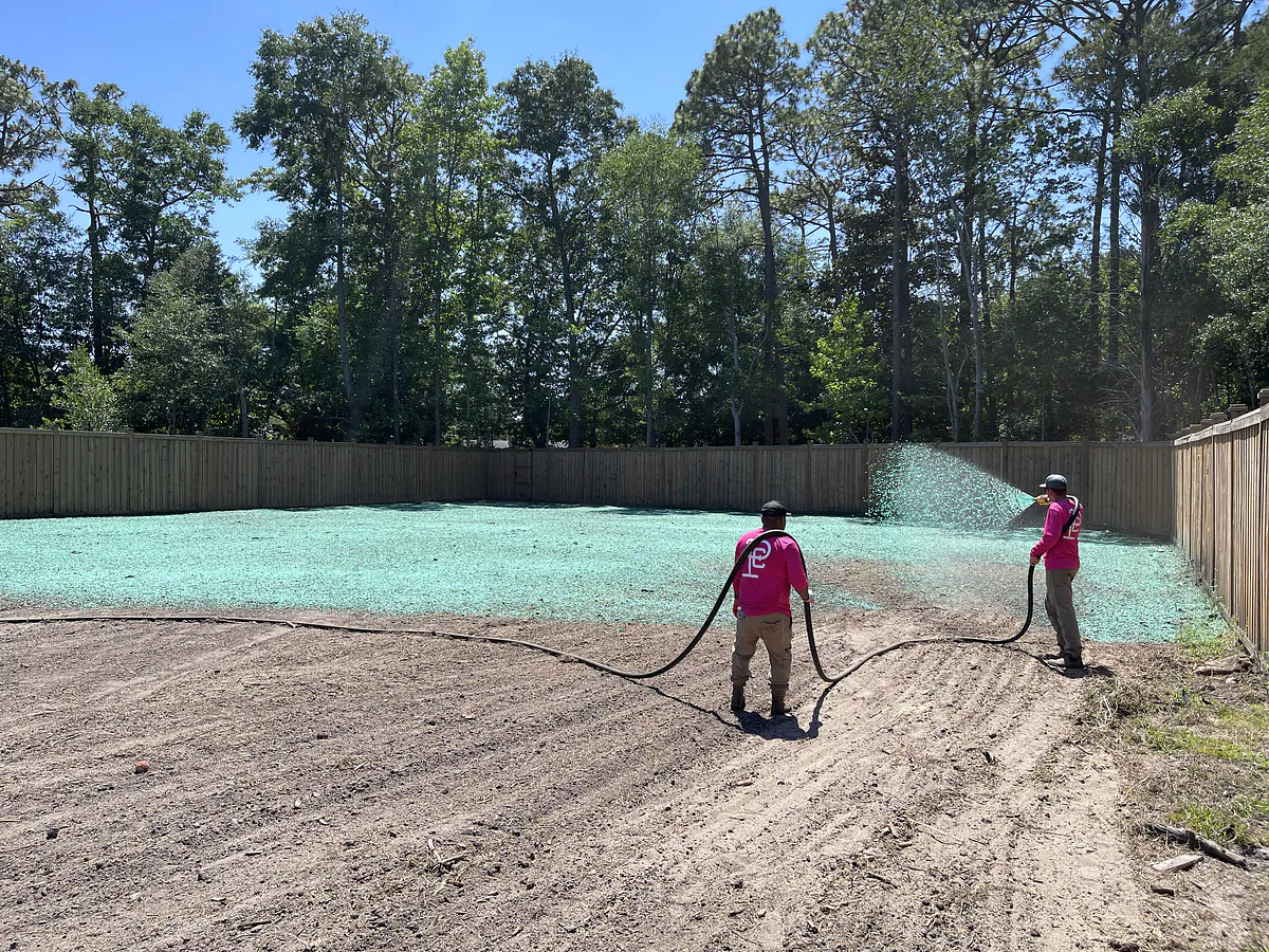 Backyard freshly hydroseeded fence to fence